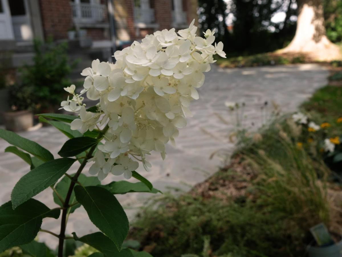 Mille Et Une Feuilles Saint-Martin-Lez-Tatinghem 外观 照片